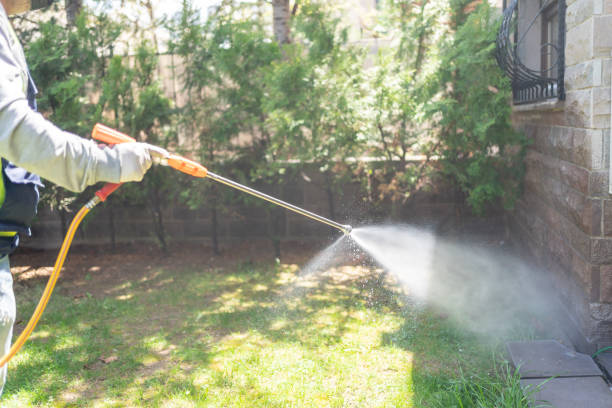 Best Pest Removal Services  in Woodlawn, VA
